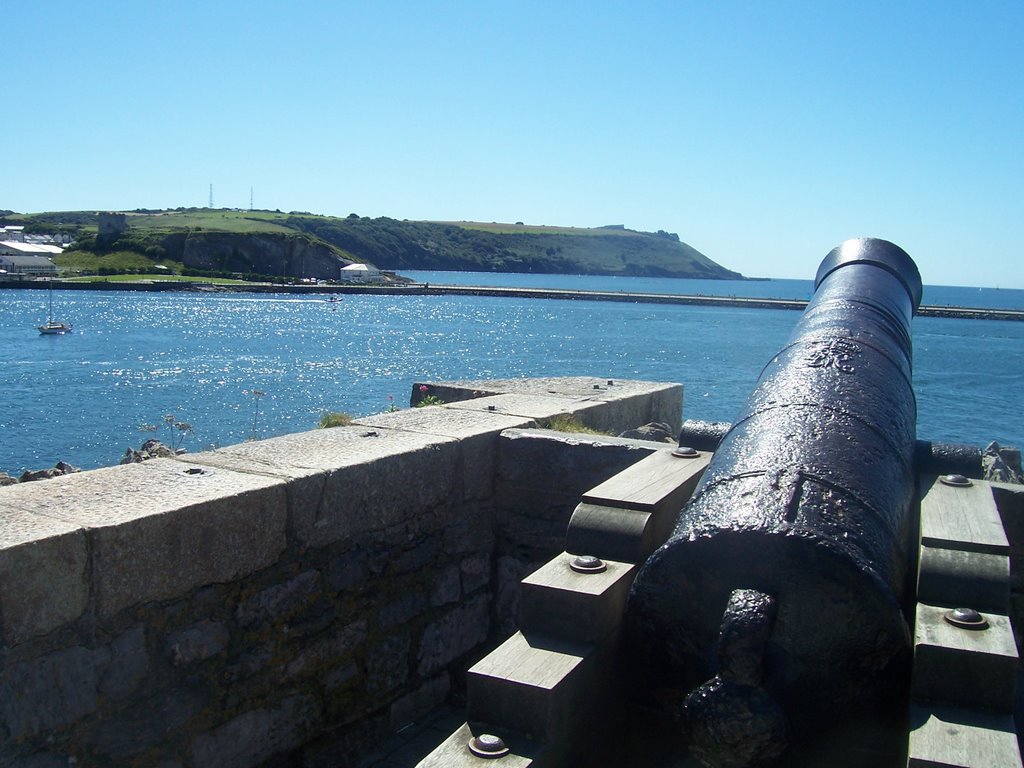 The cannon points out to sea by A Photographer