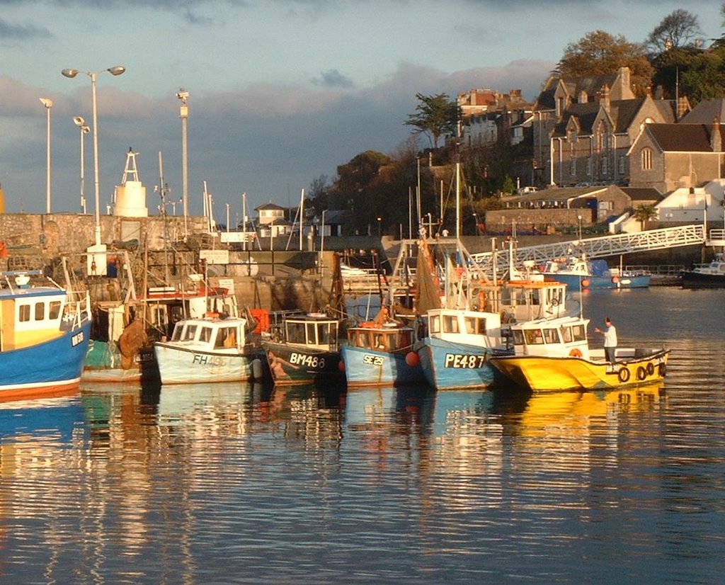 Brixham by Sue Shipway