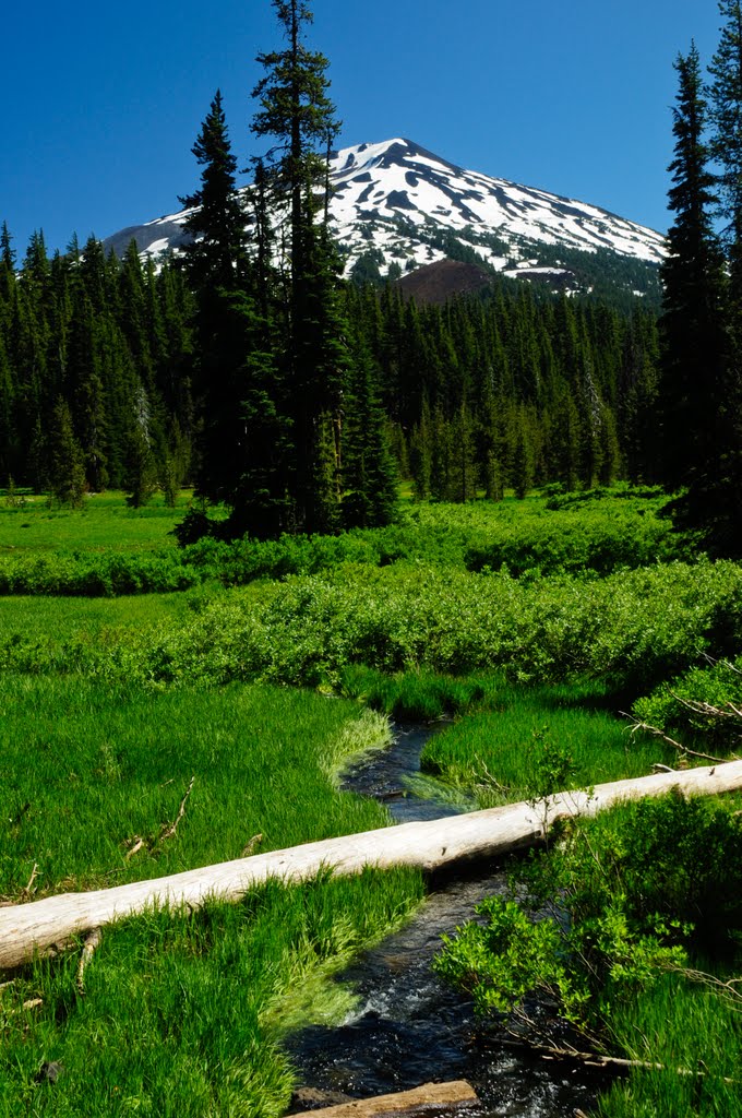 Mt Bachelor by JJNich44