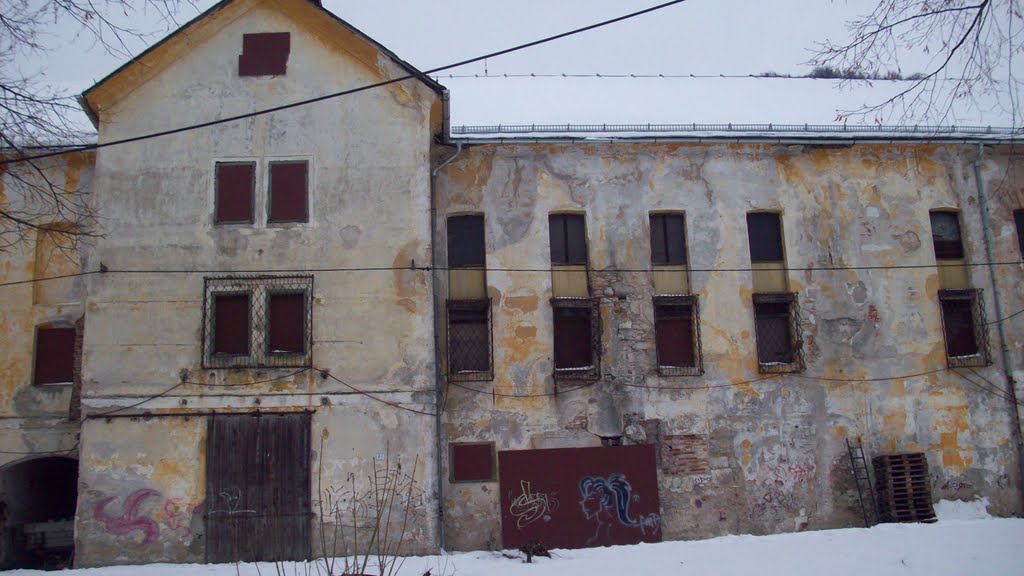 Alte Brauerei Guggental im Land Salzburg by teamforweb