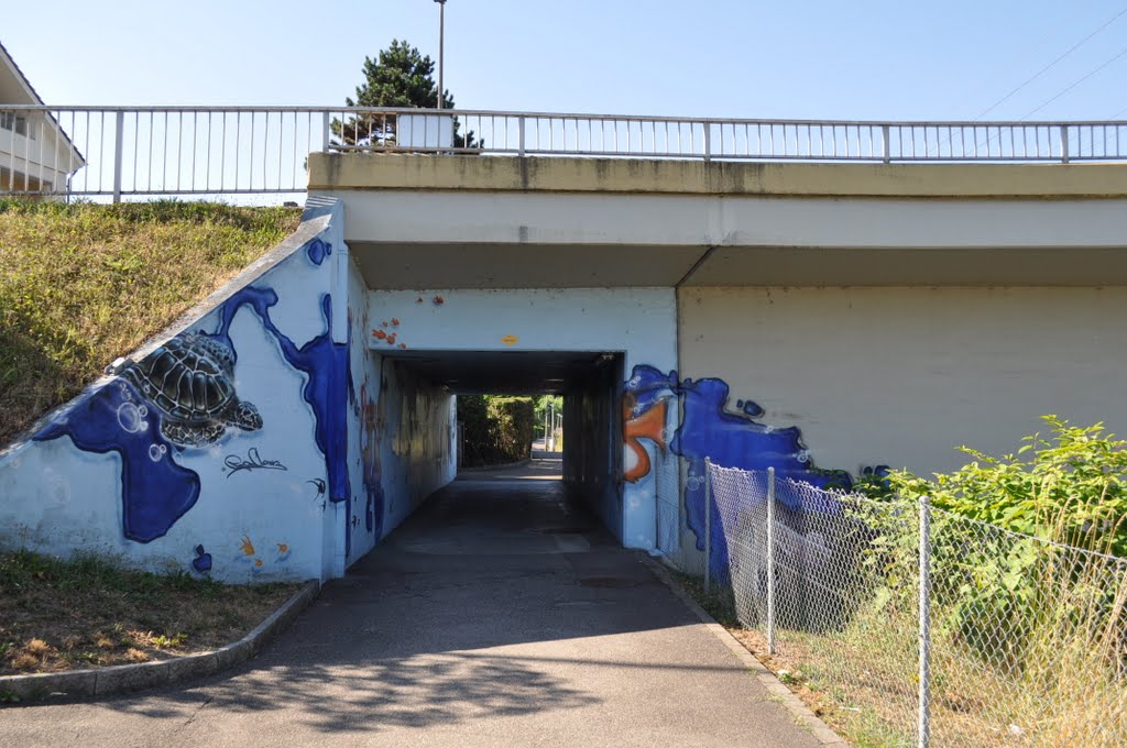 Dornach. Fussgängerunterführung unter dem Bruggweg von Seite Bahnhofstrasse her gesehen. Sommer 2010 by StephGyss