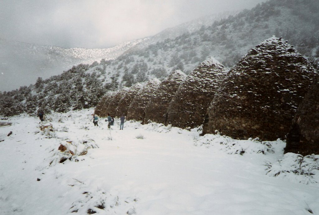 Kilns in snow by Bill Cook