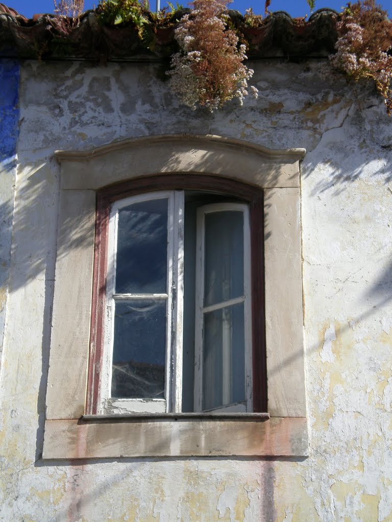 Póvoa, janela tradicional by Carlindo Xavier