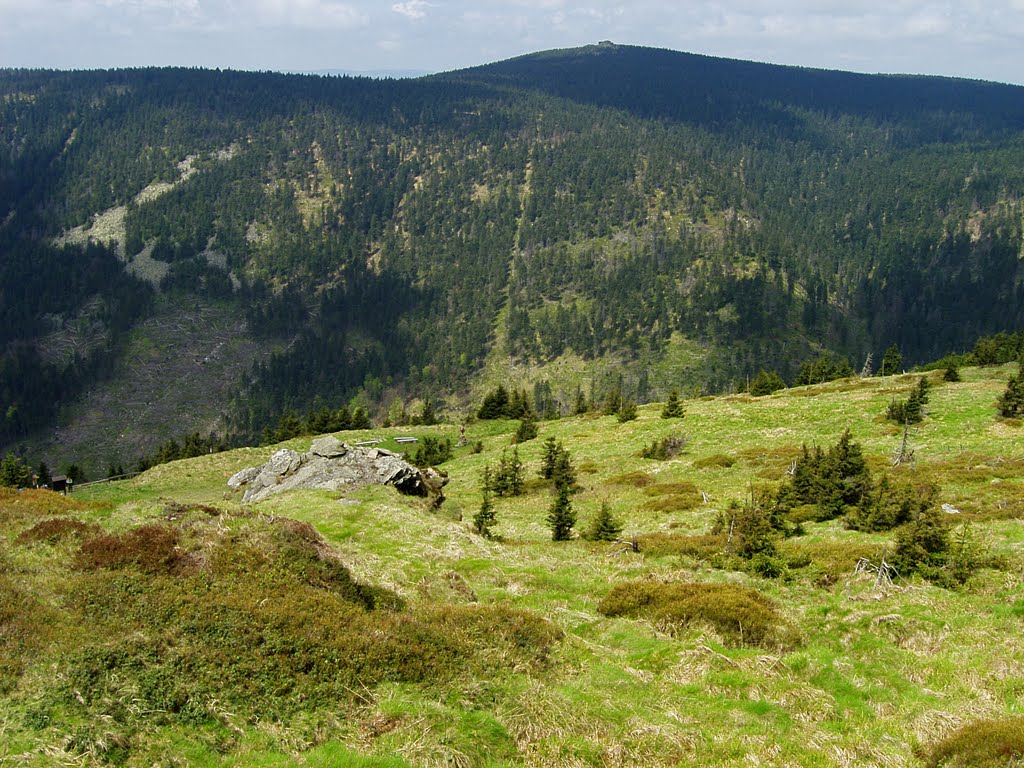 Výhledy z Červené hory nad Vřesovou studánkou na Vozku - View from Červená hora (Red hill) above Vřesová studánka to Vozka by Tomas K☼h☼ut