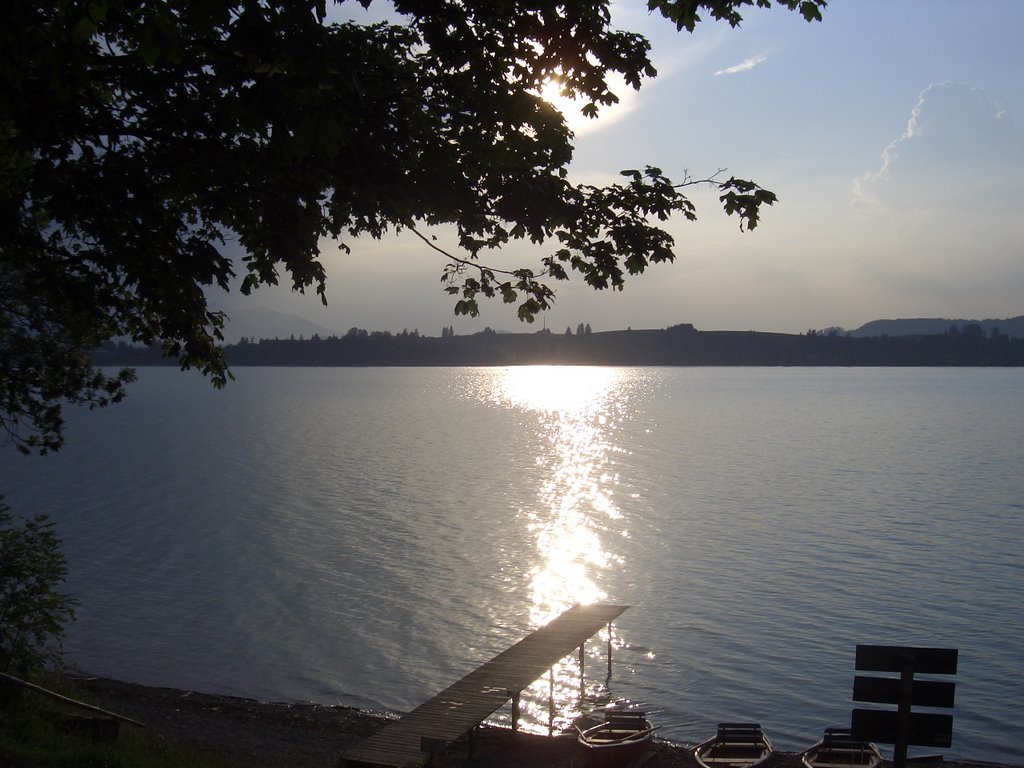 Abendstimmung am Forggensee by gustl