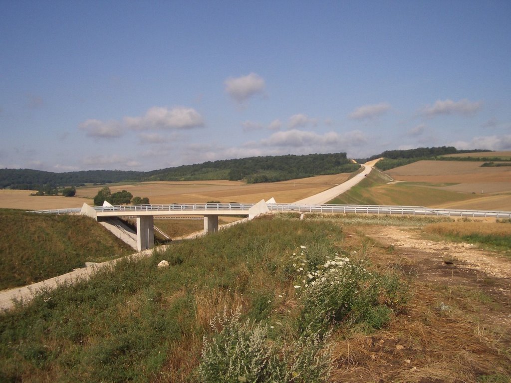 TGV railway under construction by cop9583