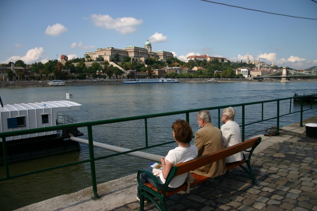 Budai Vár (Buda Castle), Budapest by Hans Sterkendries