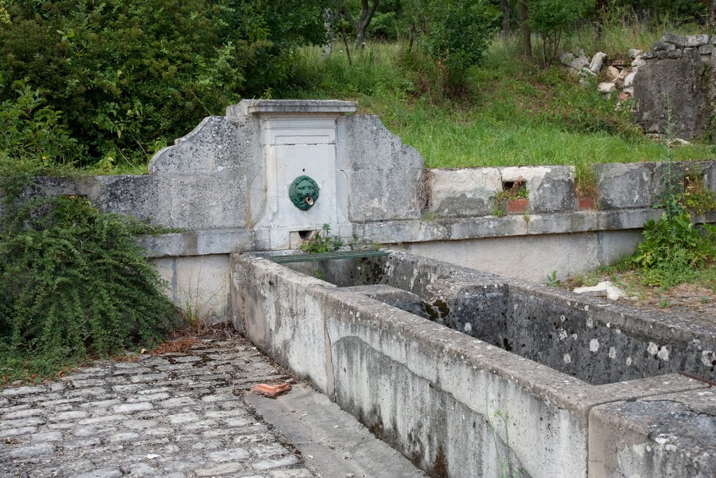 Fontaine à Loupmont by Cyril Auboin