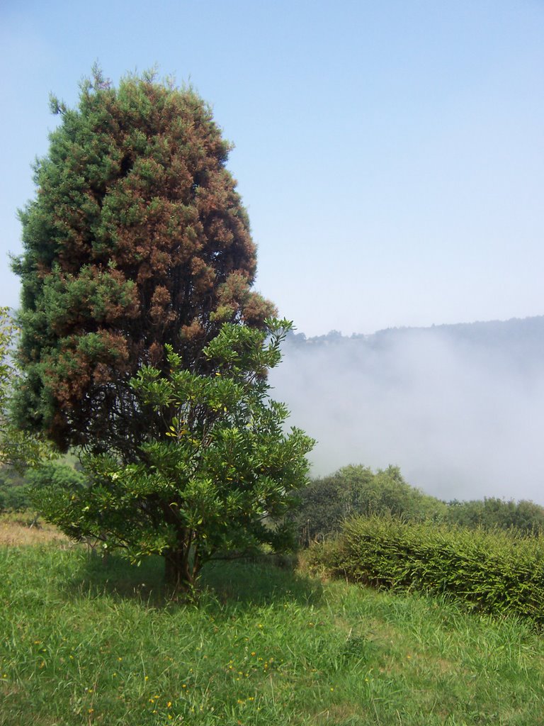 Lastres - niebla by Jevy