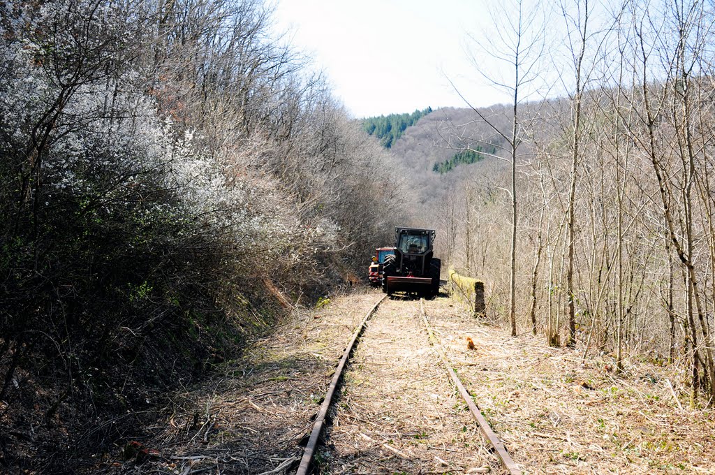 Plötzlich stehen Fahrzeuge auf dem Bahndamm. by Railwalker