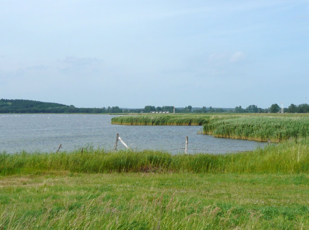 Zickersee beim Yachthafen in Thiessow auf Rügen by Zoomer