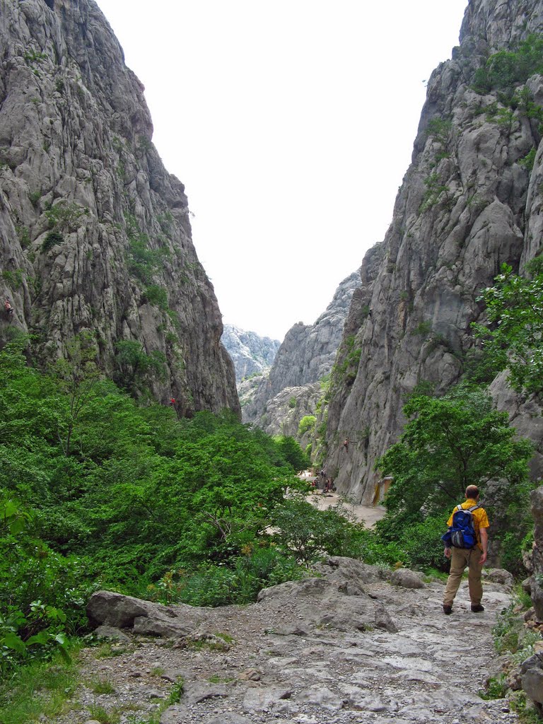 Im Tal der Toten- Wo sind all die Schlangen hin by Cato75