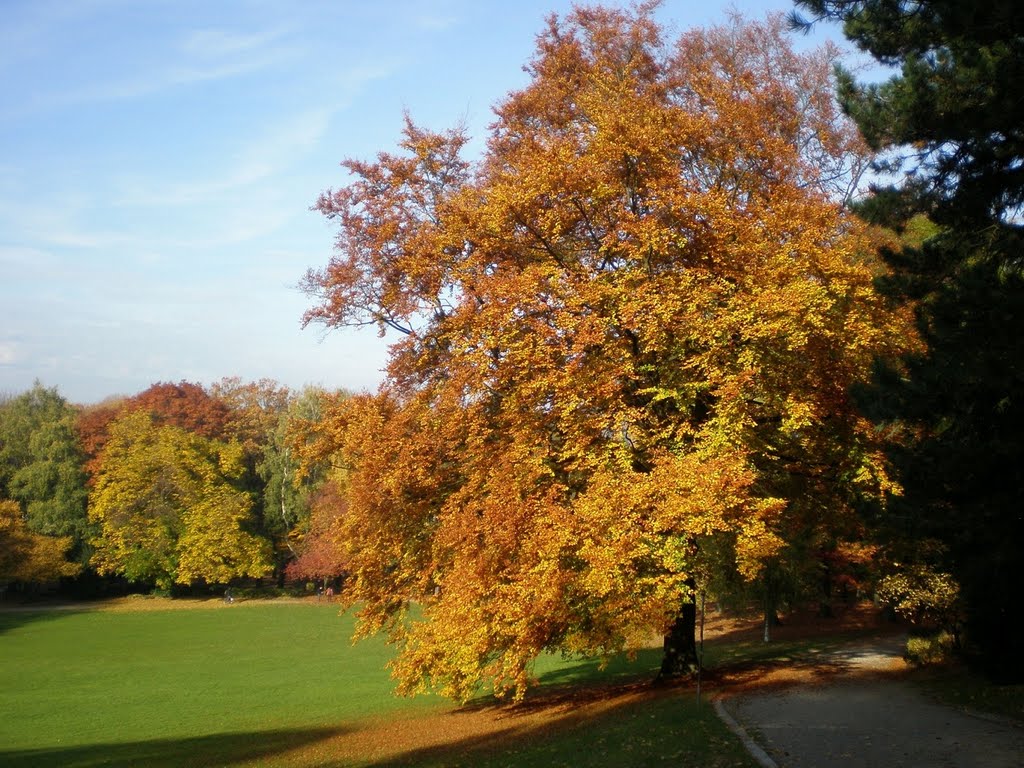 "Aachener Stadtpark"-Saga - 3 von 4 - Der Herbst by H-P-S