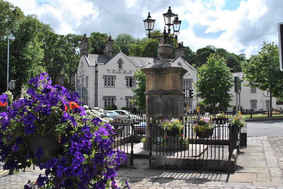 Disley Fountain by Jeff Annely