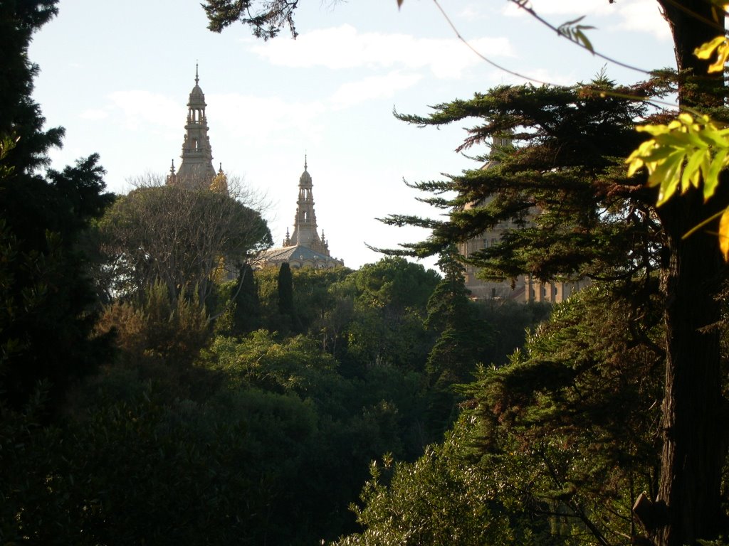 Palau Nacional by csipaulw