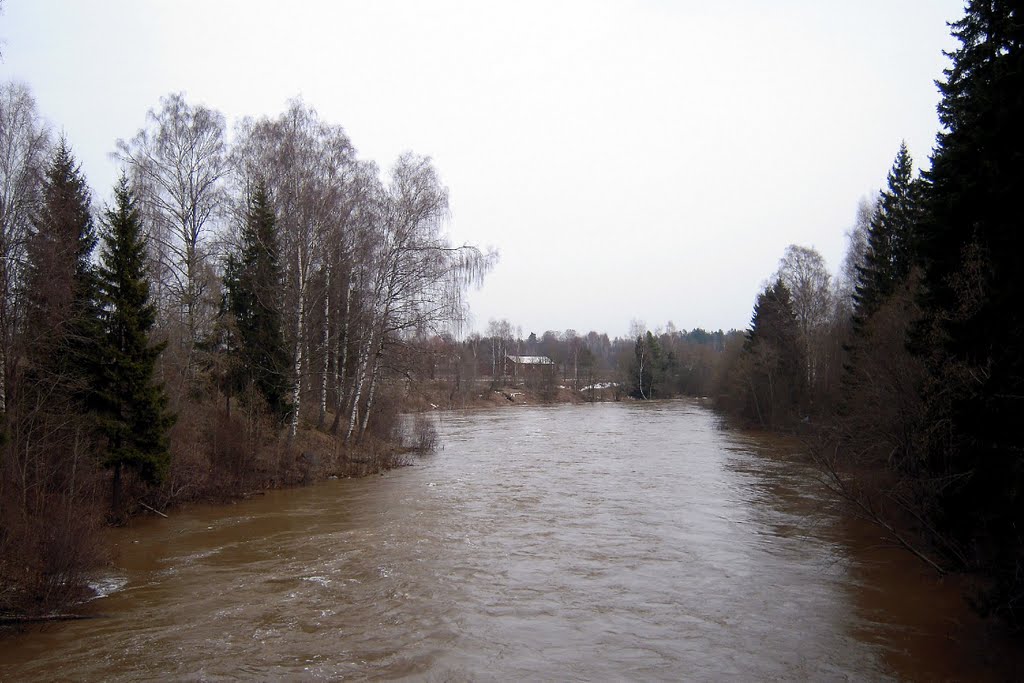 Brown Vantaanjoki by Petteri Kantokari