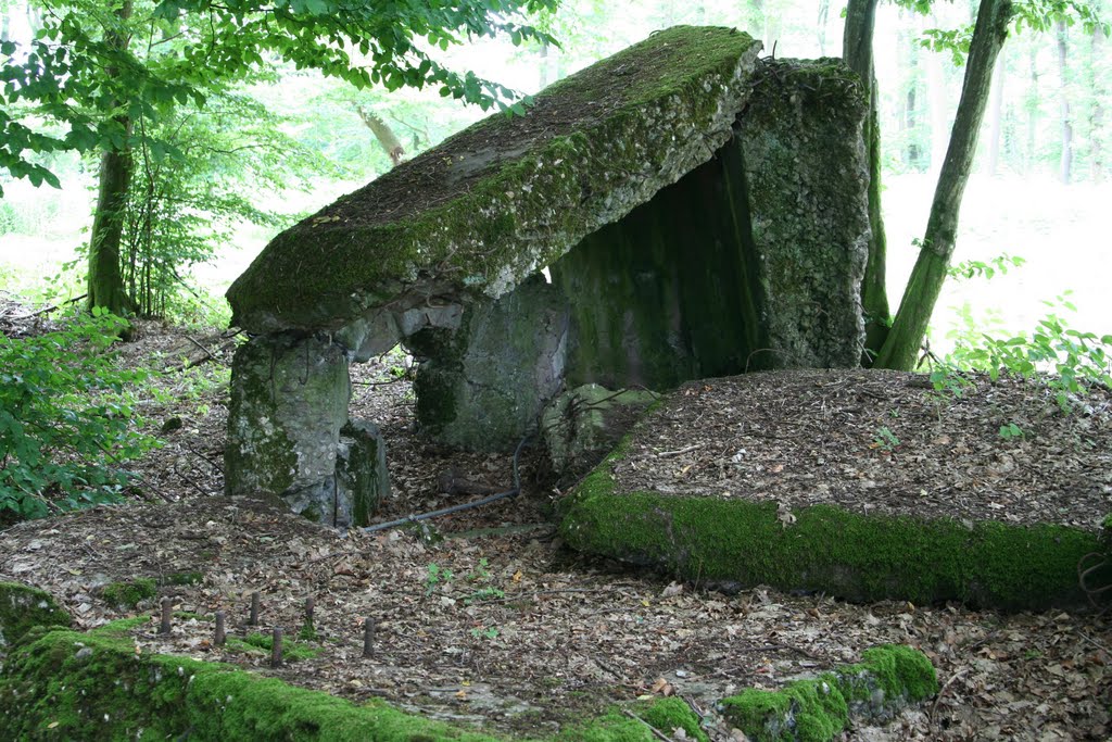 Bunker - Forêt de Grundviller by CocoBiz