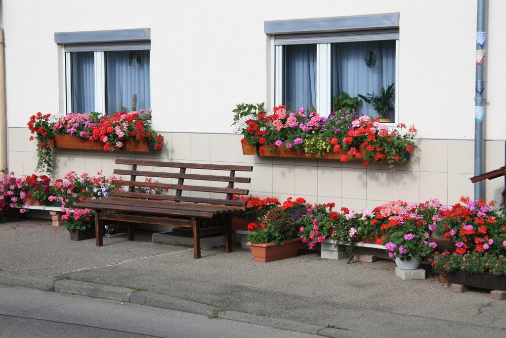 Haus mit Blumenschmuck - House with flower-decoration by rainer.kaupp