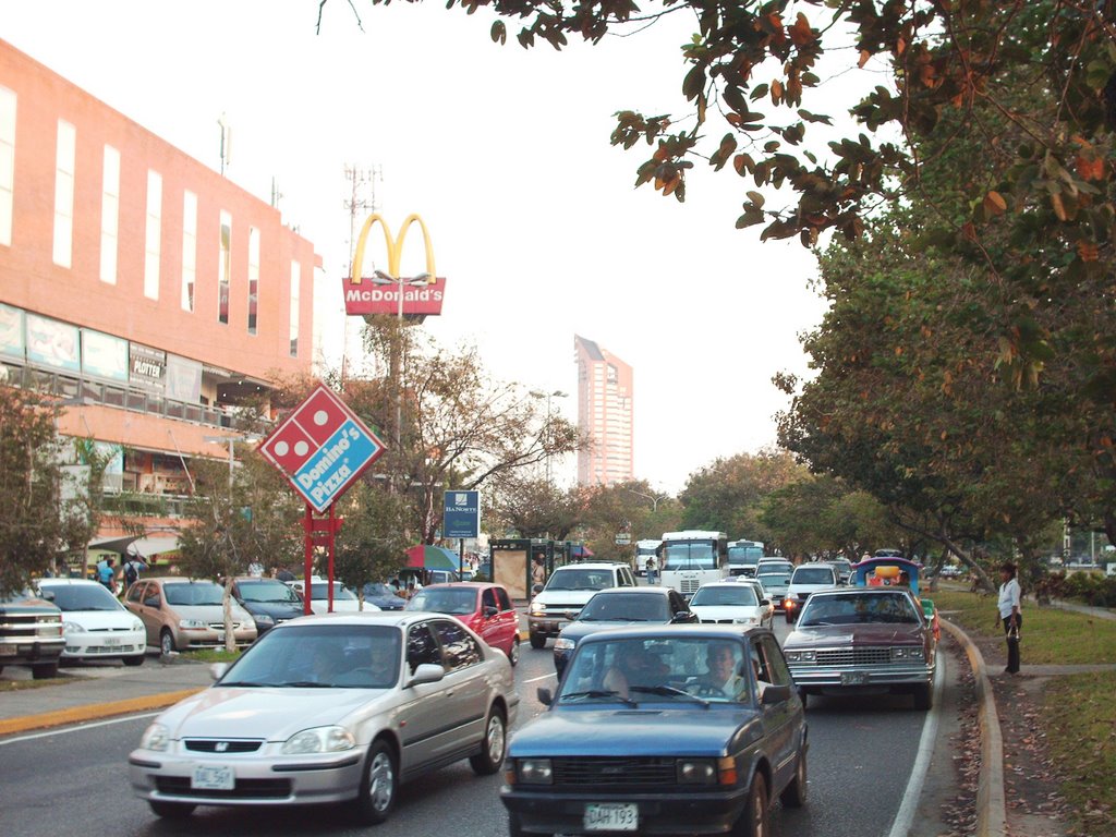 Avenida General Páez by MDMF