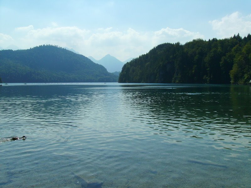 View of Alpsee Lake in Ostallgäu district Bavaria by achatzis