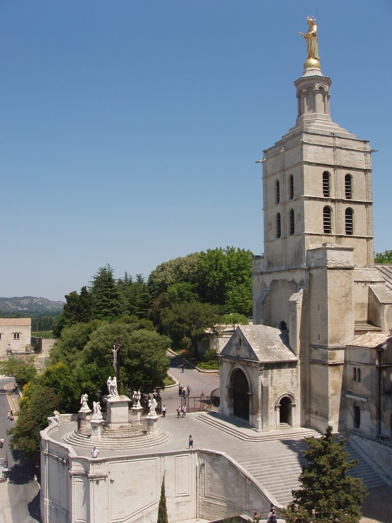 Avignon by Mario Trieste