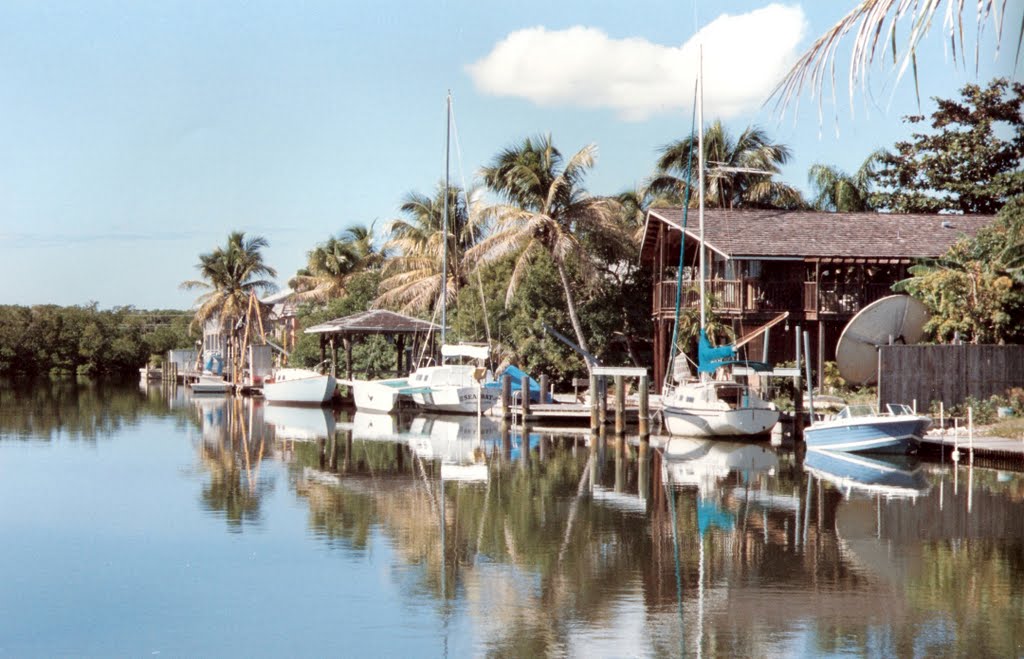 Reflejos en Marco Island. by ©Chaydeé