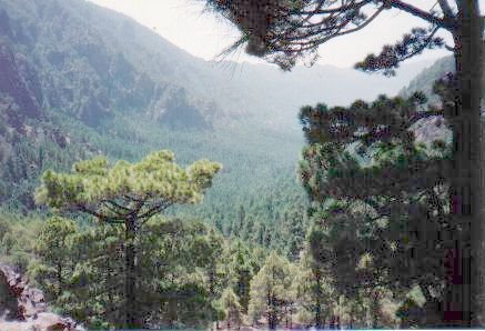 Caldera de Taburiente by aortiz