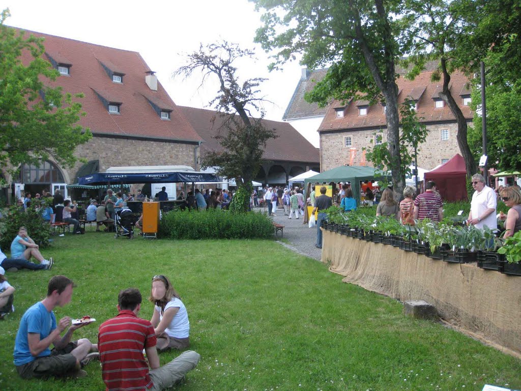 Neustadt - "Markt der Genüsse" im Herrenhof by Andreas-Müller - NO VIEWS