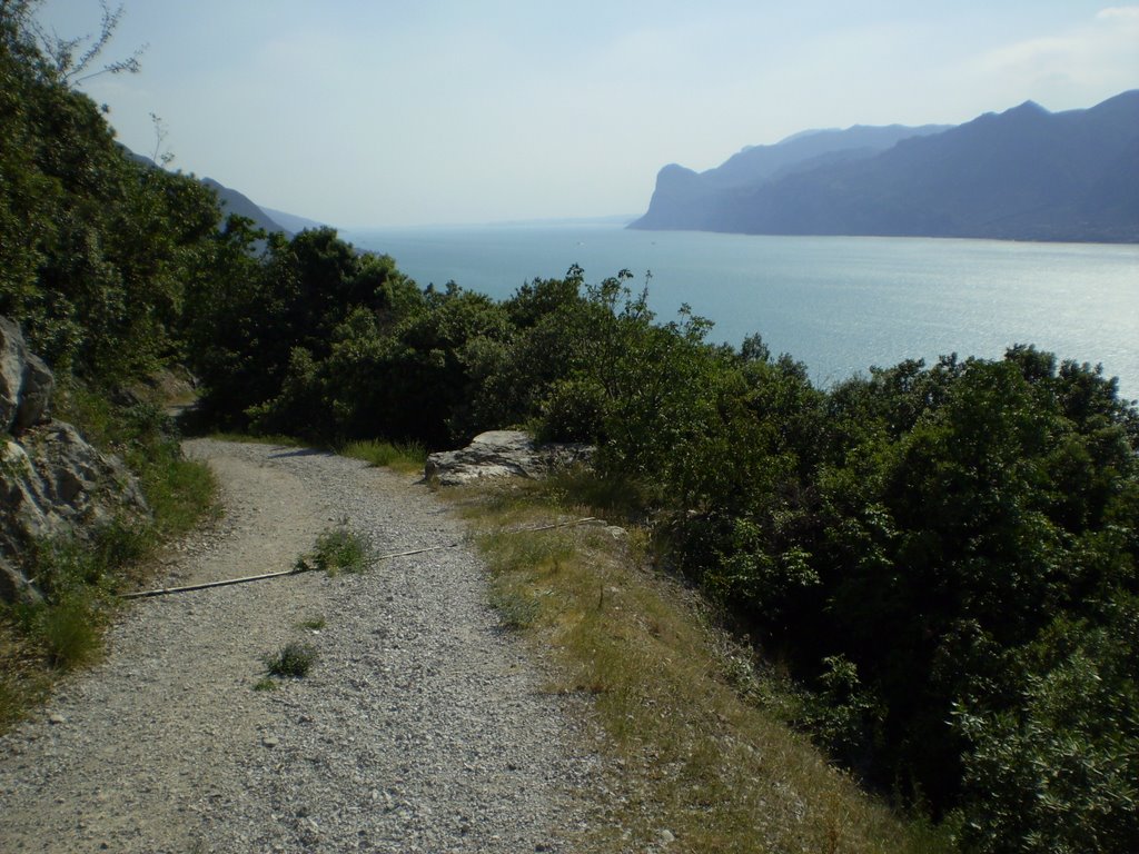 Lago di Garda by Renato Forte