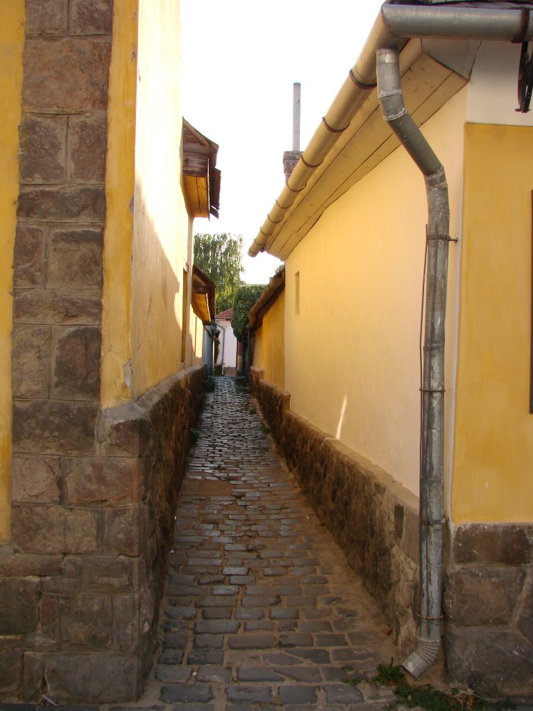 Szentendre - In the Old-Town by Kriss Topher