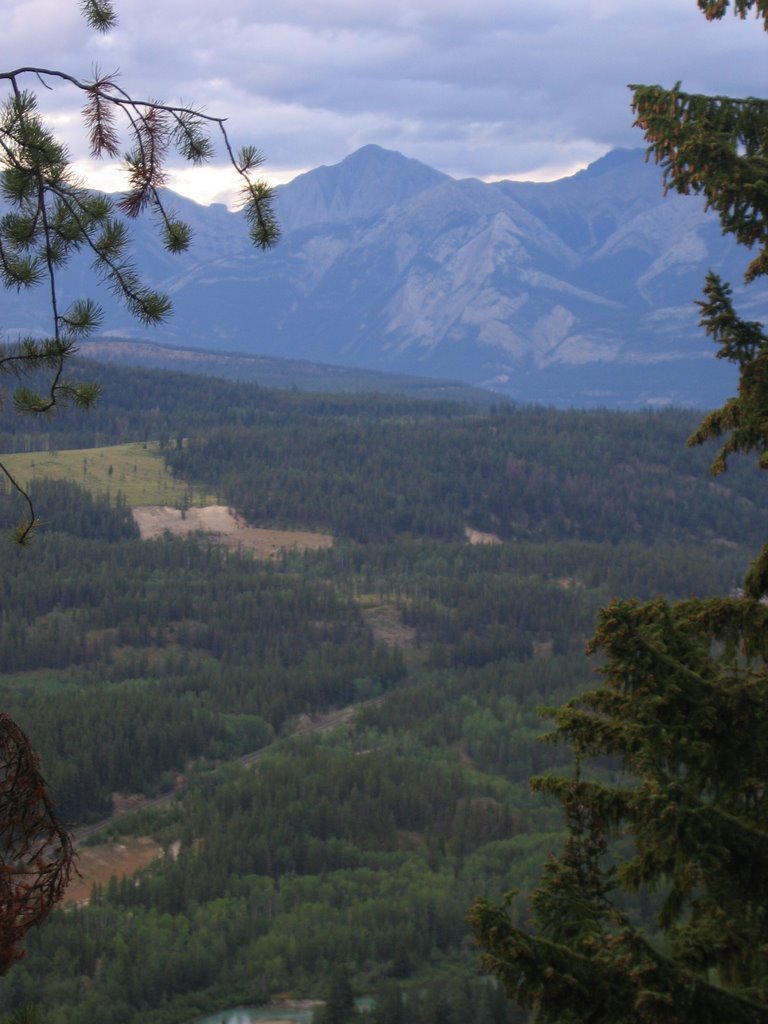 View From Near the Whistler Mountain Gondola Jasper by David Cure-Hryciuk