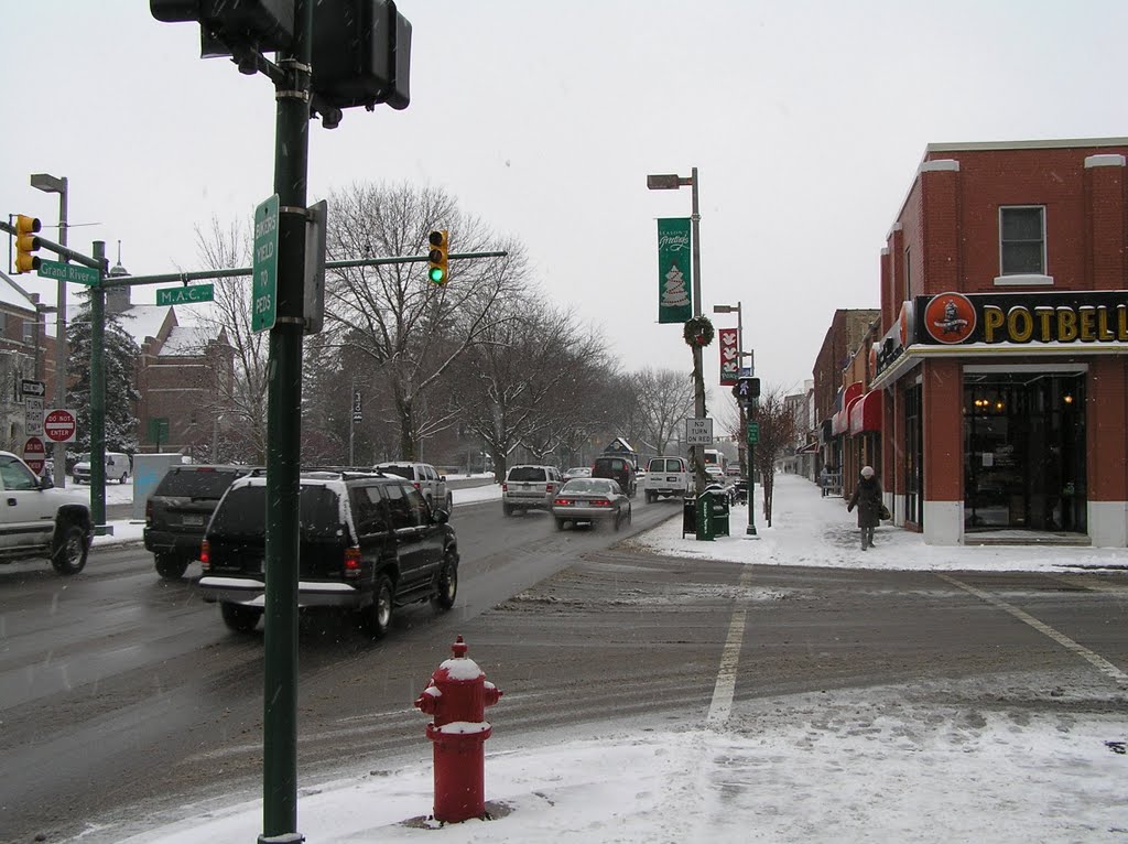 Outside michigan state, dec09 by Richard Whalley