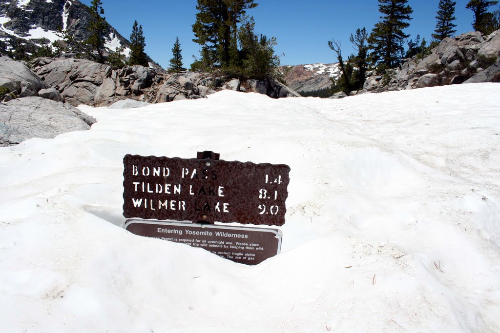 The Dorothy Pass, Pacific Crest Trail entering Yosemite National Park. by Steve Forney