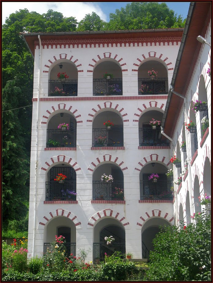 Dragalevtsi Monastery “Virgin Mary of Vitosha” - 30 min from Sofia * Драгалевски манастир „Света Богородица Витошка” by sandart