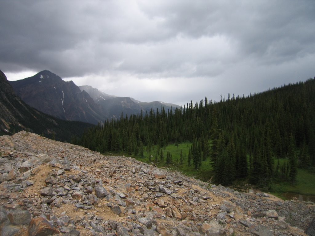 Above a Mountain Marsh Mount Edith Cavell Jasper by David Cure-Hryciuk