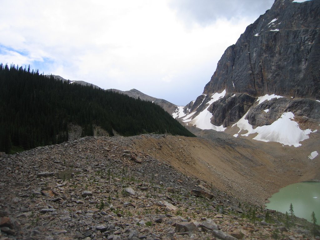 The View at Mount Edith Cavell Jasper by David Cure-Hryciuk