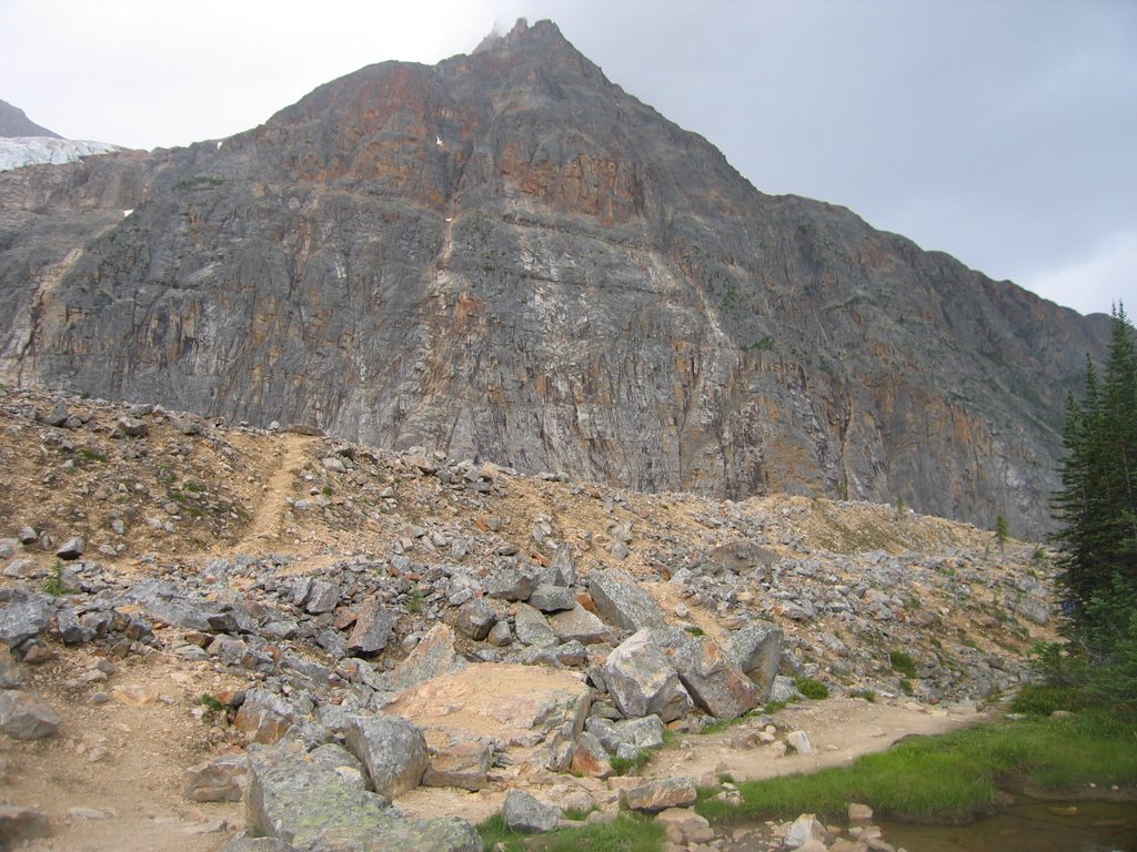 Mountain Views Along the Cavell Meadows Trail Jasper by David Cure-Hryciuk