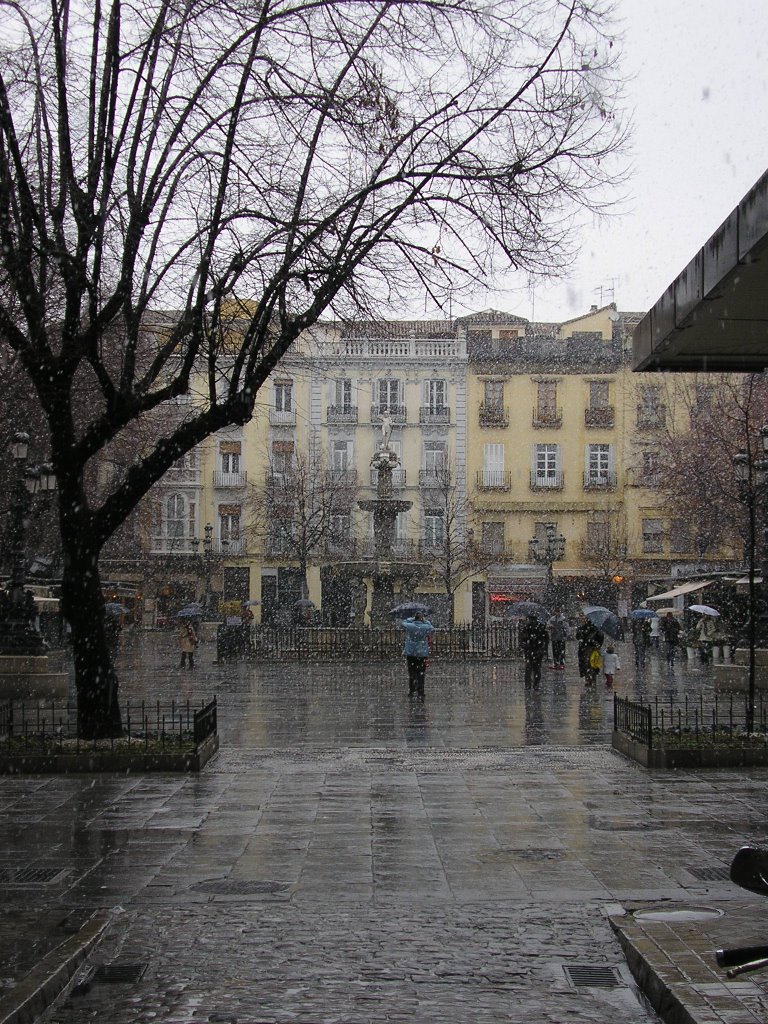 Catedral de Granada, 18001 Granada, Spain by Javi Canales