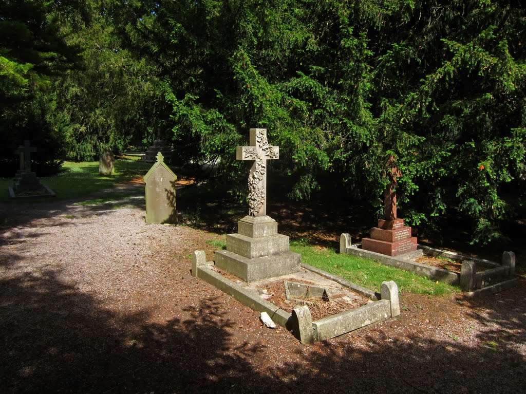 Graves at St Mary Magdalene 2010-07-19 by wambam23