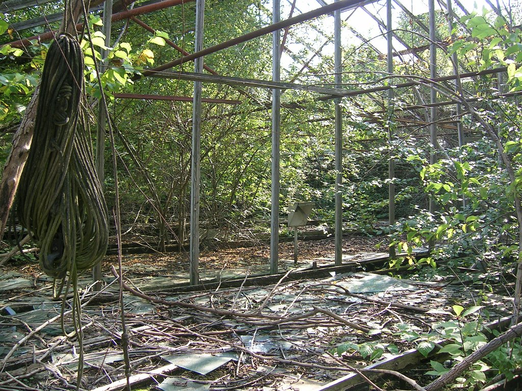 Abandoned Greenhouse_1 by Jens Knokgaard