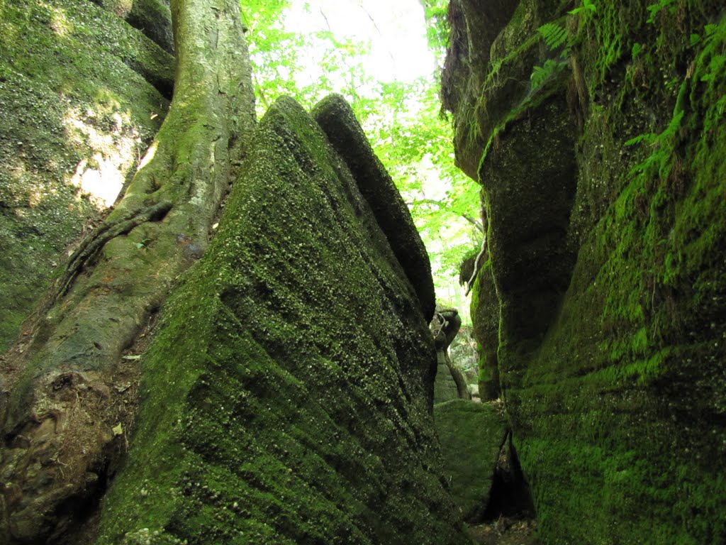 Nelson & Kennedy Ledges Passageway by Chris Sanfino