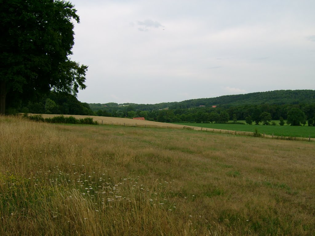 Blick zum Jägerberg by C. Rüger