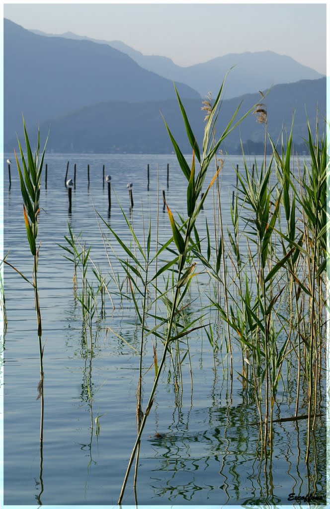 Sévrier - Lac d'Annecy by excoffons