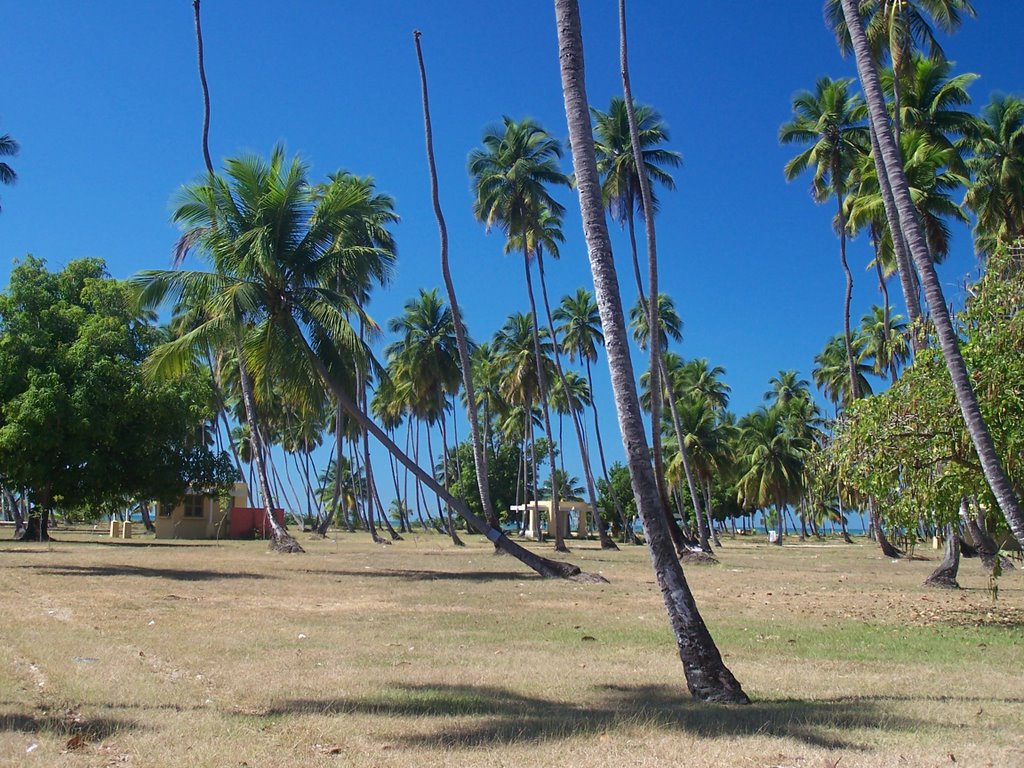 Area de Acampar, Balneario de Añasco. P.R. by Hector Vincent Alvarez