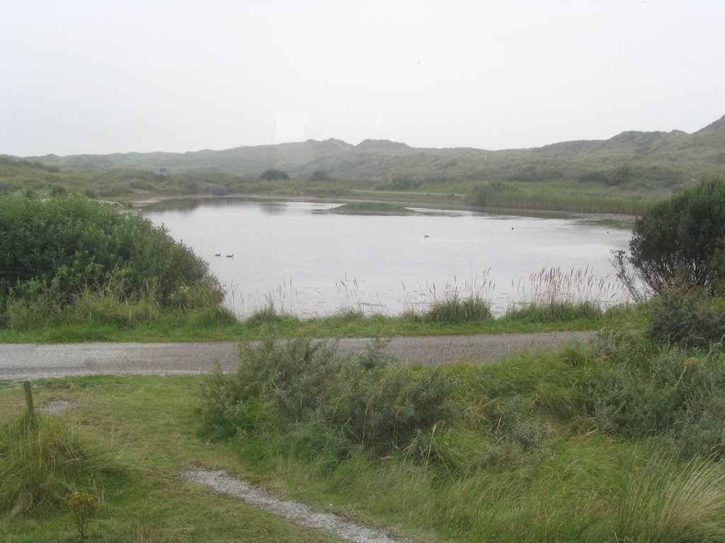 Midsland aan Zee by Kaj van der Plas