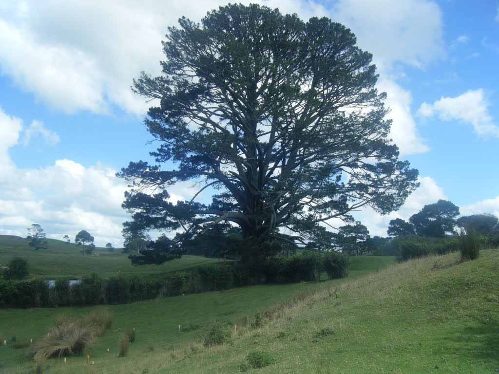 Party Tree, Hobbiton by Judita83