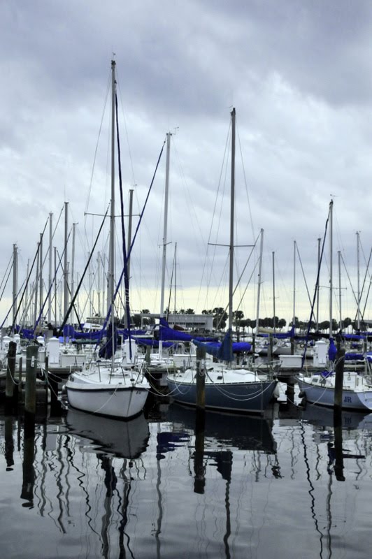 Bay Shore Dr. St. Petersburg, FL by A1 Photoworks