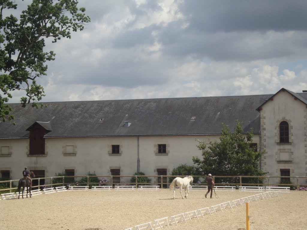 Haras national et départemental de La Roche-sur-Yon by William Chevillon