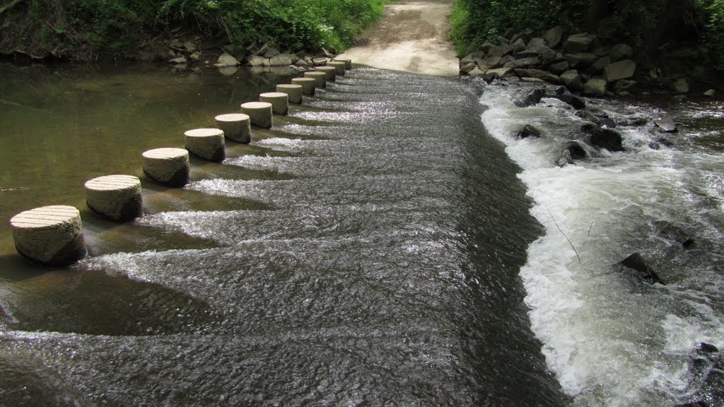 Stepping Stones-Difficult run trail. by walter chris