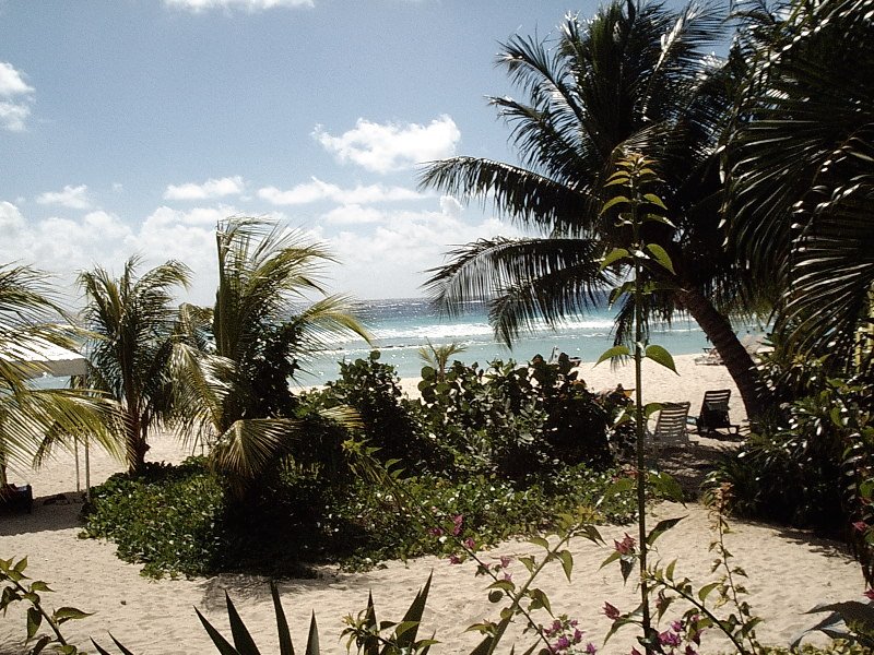 Barbados © Clare Kent by skipjacktunafish